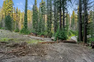 21200 Big Basin Wy, Boulder Creek, CA 95006 - Photo 13