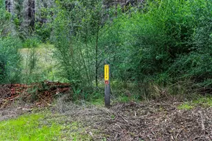 21200 Big Basin Wy, Boulder Creek, CA 95006 - Photo 27