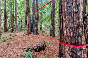 12845 Love Creek Rd, Ben Lomond, CA 95005 - Photo 53