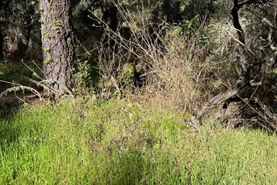 0 Marion Ave, Ben Lomond, CA 95005 - Photo 3