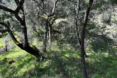 0 Marion Ave, Ben Lomond, CA 95005 - Photo 5