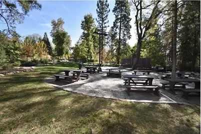 280 Forest Meadows Dr, Murphys, CA 95247 - Photo 9