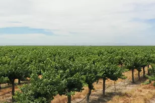 20650 Rd 21, Madera, CA 93639 - Photo 1