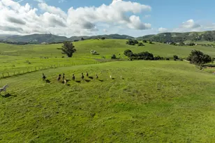 600 Rocks Rd, San Juan Bautista, CA 95045 - Photo 19