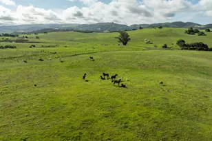 600 Rocks Rd, San Juan Bautista, CA 95045 - Photo 15