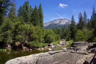 7899 Forest Dr, Yosemite National Park, CA 95389 - Photo 13