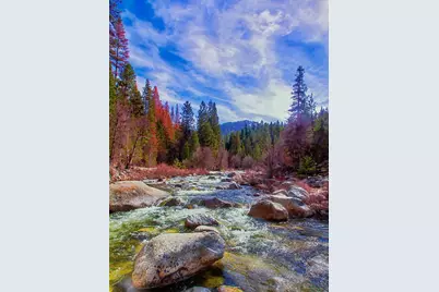 7899 Forest Dr, Yosemite National Park, CA 95389 - Photo 87