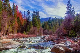 7899 Forest Dr, Yosemite National Park, CA 95389 - Photo 87