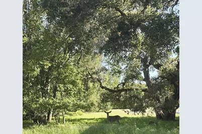 16 Sleepy Hollow Drive, Carmel Valley, CA 93924 - Photo 23