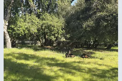 16 Sleepy Hollow Drive, Carmel Valley, CA 93924 - Photo 25