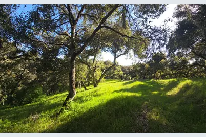 16 Sleepy Hollow Drive, Carmel Valley, CA 93924 - Photo 5