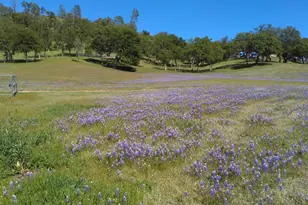 38483 Milpitas Rd, Jolon, CA 93928 - Photo 53
