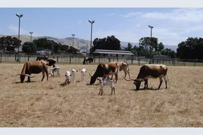 19963 Hale Ave, Morgan Hill, CA 95037 - Photo 7