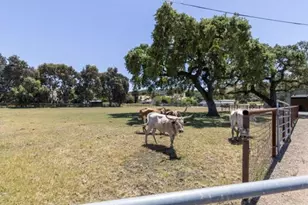 19963 Hale Ave, Morgan Hill, CA 95037 - Photo 49