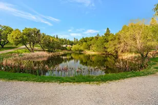 10213 Tyler Foote Rd, Nevada City, CA 95959 - Photo 73
