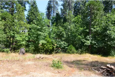 662 Roan Way, Avery, CA 95224 - Photo 5