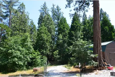 662 Roan Way, Avery, CA 95224 - Photo 11