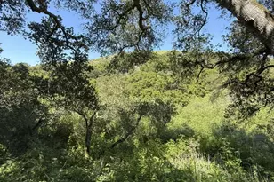 0 Bartlett Way, Belmont, CA 94002 - Photo 1
