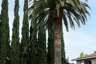 200 Westchester Dr, Los Gatos, CA 95032 - Photo 3