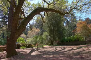 116 Wildrose Terrace, Boulder Creek, CA 95006 - Photo 43