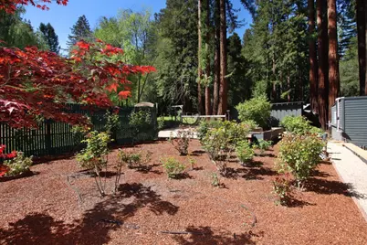 116 Wildrose Ter, Boulder Creek, CA 95006 - Photo 39