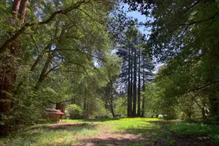 116 Wildrose Terrace, Boulder Creek, CA 95006 - Photo 67