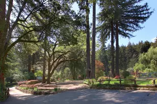 116 Wildrose Terrace, Boulder Creek, CA 95006 - Photo 41