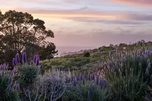 31475 Hwy 1, Carmel, CA 93923 - Photo 43