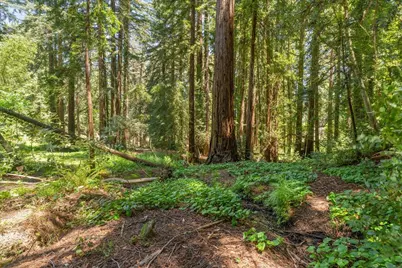 0 Grove St, Los Gatos, CA 95030 - Photo 9