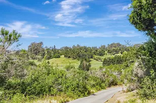 501 Spring Hills Dr, Watsonville, CA 95076 - Photo 41