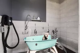 2171 White Oak Dr, Hollister, CA 95023 - Photo 11