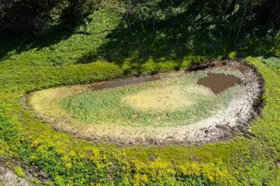 925 Miramontes St, Half Moon Bay, CA 94019 - Photo 9