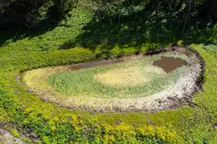 925 Miramontes St, Half Moon Bay, CA 94019 - Photo 9