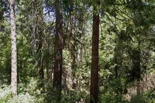 166 Higdon Rd, West Point, CA 95255 - Photo 1