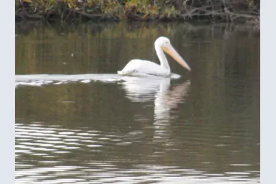 00 Bluff Rd, Moss Landing, CA 95039 - Photo 5