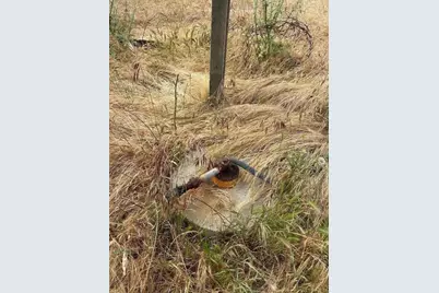 363 Orchard Hill Rd, San Juan Bautista, CA 95045 - Photo 21