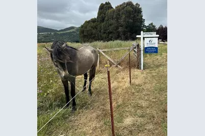 363 Orchard Hill Rd, San Juan Bautista, CA 95045 - Photo 3