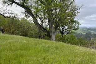 13 Longridge Trail, Carmel Valley, CA 93923 - Photo 9