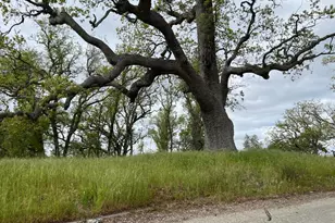 13 Longridge Trail, Carmel Valley, CA 93923 - Photo 5