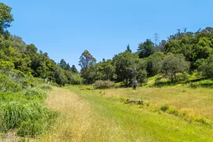 3554 Paul Sweet Rd, Santa Cruz, CA 95065 - Photo 3