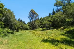 3554 Paul Sweet Rd, Santa Cruz, CA 95065 - Photo 13