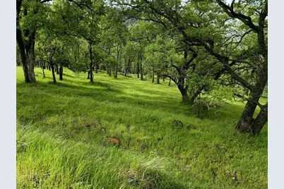 1119 Montauk Vista, Pilot Hill, CA 95664 - Photo 13