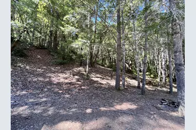 24858 Clover Rd, Willits, CA 95490 - Photo 3