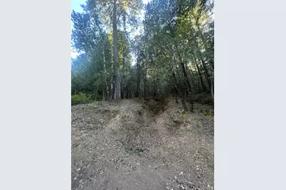 24858 Clover Rd, Willits, CA 95490 - Photo 1