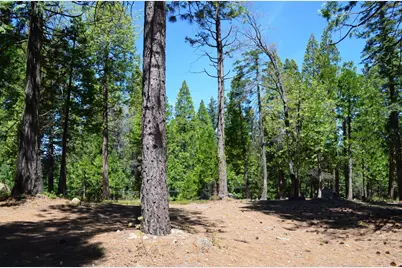 3112 Apache Rd, Dorrington, CA 95223 - Photo 3