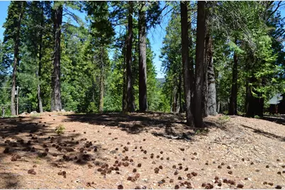 3112 Apache Rd, Dorrington, CA 95223 - Photo 23