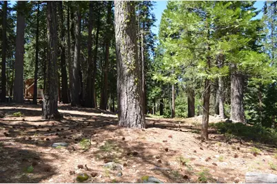 3112 Apache Rd, Dorrington, CA 95223 - Photo 21