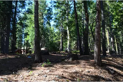 3112 Apache Rd, Dorrington, CA 95223 - Photo 7