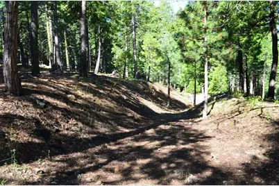 3112 Apache Rd, Dorrington, CA 95223 - Photo 5