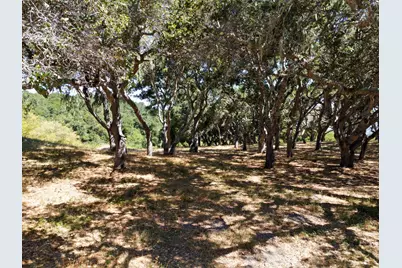 4 Holding Field Run, Carmel, CA 93923 - Photo 7